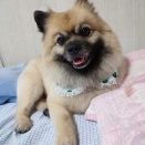 トリミング