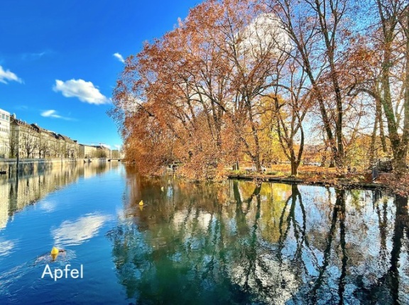 晩秋とクリスマスシーズン🇨🇭