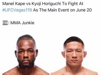 「堀口恭司×ケイプ」APEXリーク