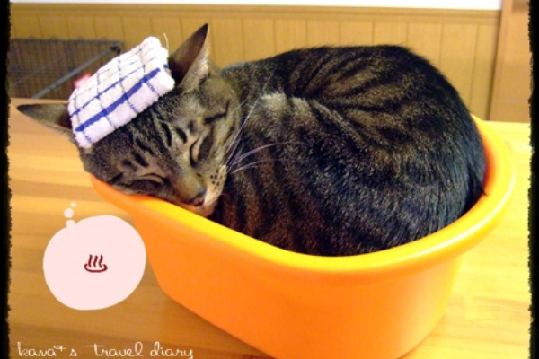 Kana S Travel Diary Amp Photo Diary カフェ