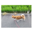8月8日　福岡家広川町H様住宅新築工事のシステムバスTOTOシンラ組付