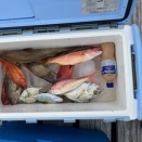 ボート釣り10回目