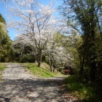 いはちのCP（ちゃらんぽらん）倶楽部