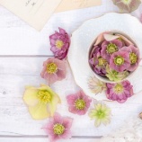 『カードを不正使用される（４）』の画像