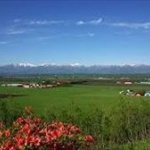 北海道って観光地として名高いけど実際何があるの？