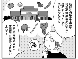 いいかげんに晴れてほしい🌞