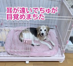 リアタイ話！爆音カミナリと線状降水帯なう
