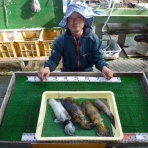 海山フィッシングセンター