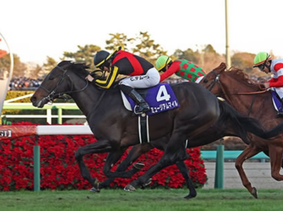 ミュージアムマイル 香港クイーンエリザベス2世C回避www