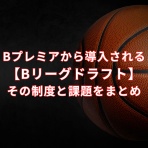 FANTASTIC BASKETBALL