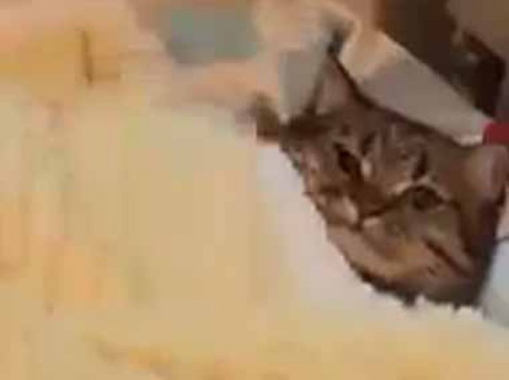 私はベッドで、彼は床の布団でいつも寝ていた。ちょっｗ → 結局こうなります…