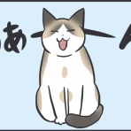 おそらくその平凡こそ幸せ　猫と私と家族の日常