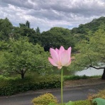 さしもも日記☆坂の上の雲の松山市から