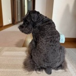 オーチャンネル☆
