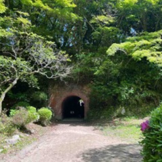 ピアノ弾きhamiのBlog