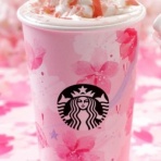 ペット美容室・ペットホテル　アニマー湯　宇都宮店　トリマー日記