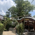 梶無神社の茅の輪