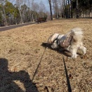 今年は歩くわよー