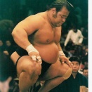 戦闘竜、56歳で死去とかマジかｗｗｗ元大関魁皇も泣いてるやろｗｗｗ