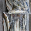 伊南川、平水に。。。。。