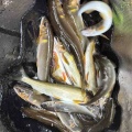 本日の釣果