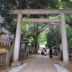 努力の上に花は咲くⅡ