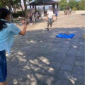 NPO法人かたひらかたろう　今週のお知らせ