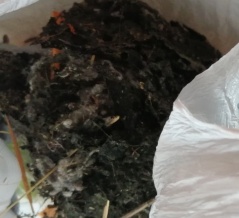 ウザい専業主婦・ベランダ掃除で取れたモノ