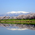 宮城県・山形県にまたがる蔵王山のまとめ