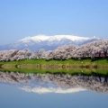 宮城県・山形県にまたがる蔵王山のまとめ