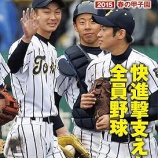 『東海大系列高校の高校野球成績』の画像