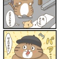 心が浄化された瞬間