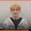 【JUMP BOY LIVE】何度も観てます。