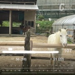 Happy Girlie ゴルフ！