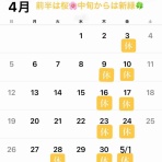 ボーシュマン日記