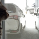 春はもうすぐ？