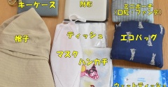 【50代主婦の旅行バッグ】夏の国内旅行！バッグの中身＆持ち物を公開します♬
