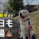 1日2回散歩開始します！