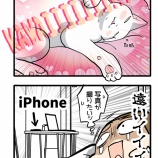 今しかない可愛さに限って撮れない
