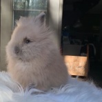 うのくらし