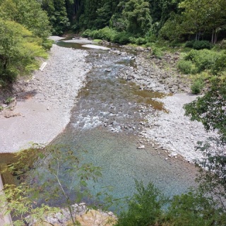 つり吉オヤジの日高川龍神鮎・あまご情報