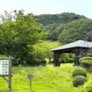 蕾多い 蓮池見下ろす 観音山