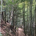 38日目　2025年４月11日（木）雨のち晴れ