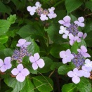 土曜日陶芸教室