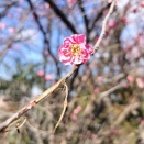 2月4日、今日は何の日