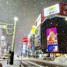 いくらひきこもりの私でもこんなに早く積もられたら困る