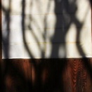 次大夫堀公園民家園-3