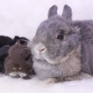 キラキラ、くりくり