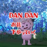 『DANDANお花下がっていく』の画像