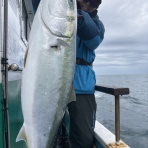 新潟県寝屋港 進栄丸 レオの海